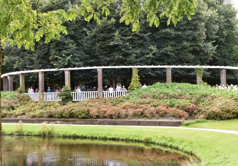 DSC_0217 (800x532).jpg